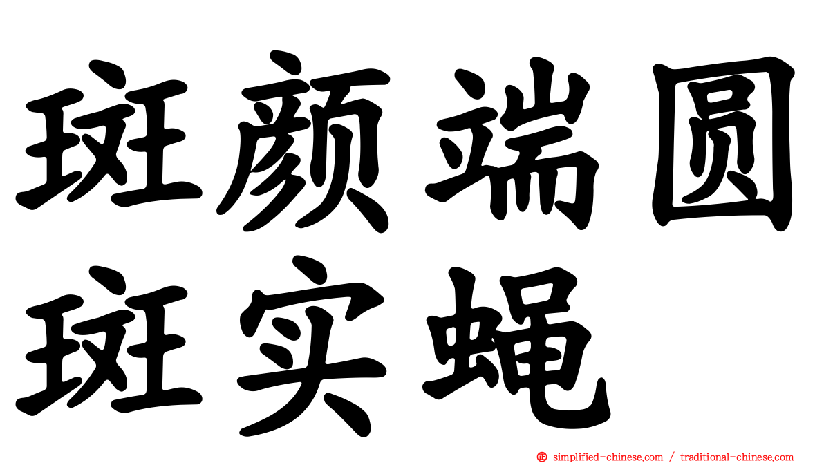 斑颜端圆斑实蝇