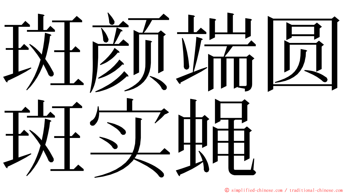 斑颜端圆斑实蝇 ming font