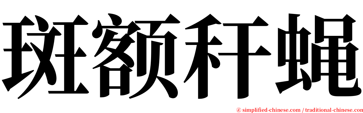 斑额秆蝇 serif font
