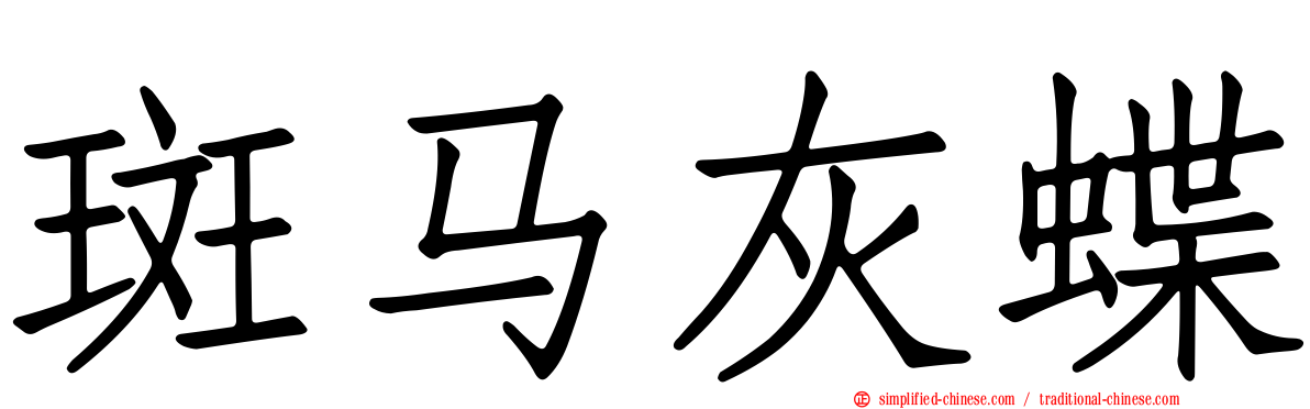 斑马灰蝶