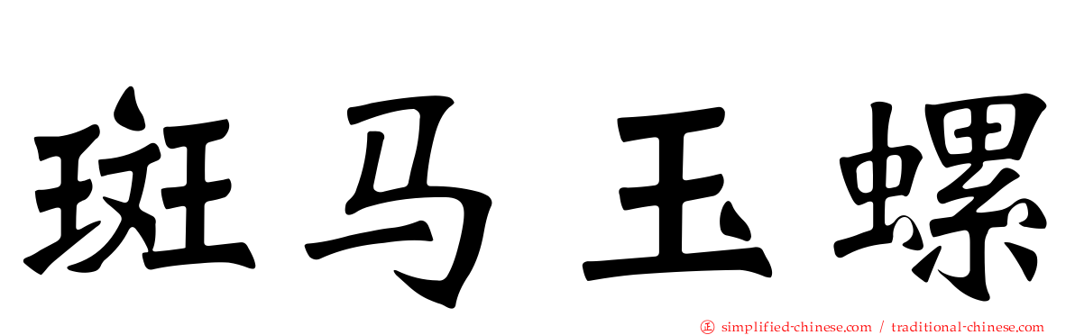 斑马玉螺