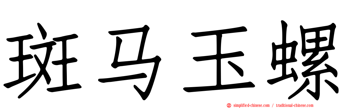 斑马玉螺