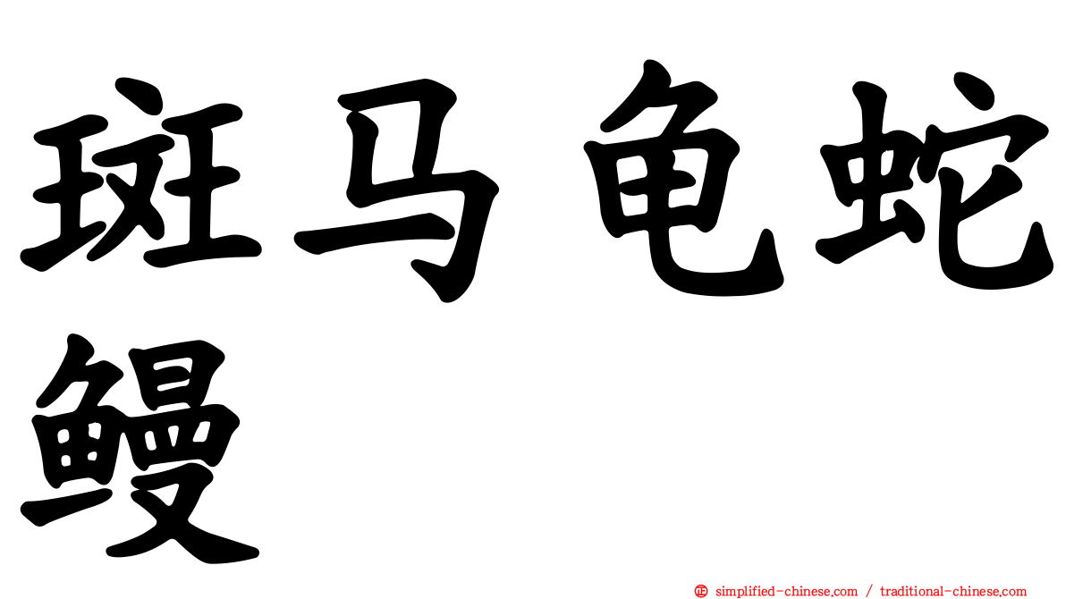 斑马龟蛇鳗