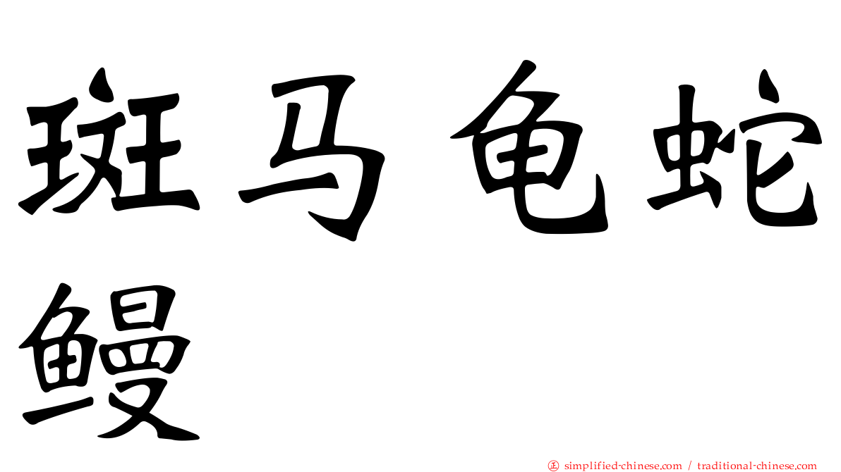 斑马龟蛇鳗