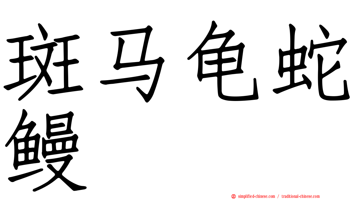 斑马龟蛇鳗