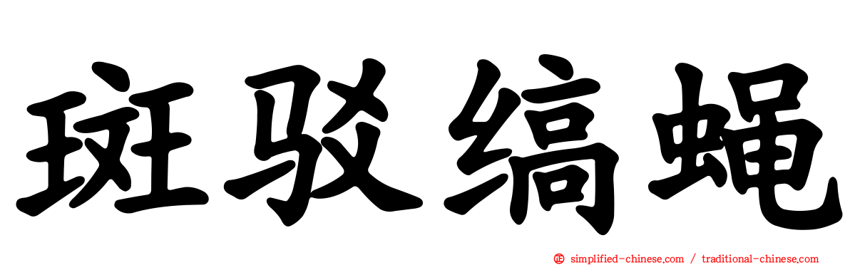 斑驳缟蝇