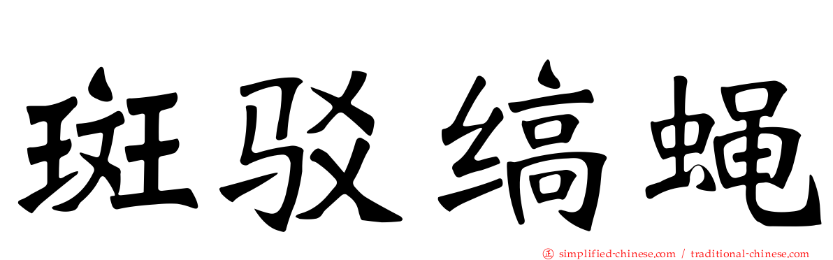 斑驳缟蝇