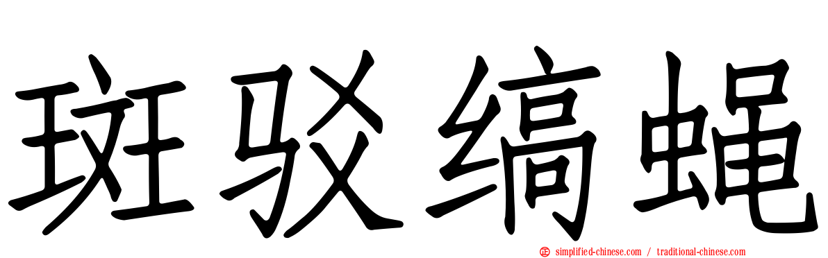 斑驳缟蝇