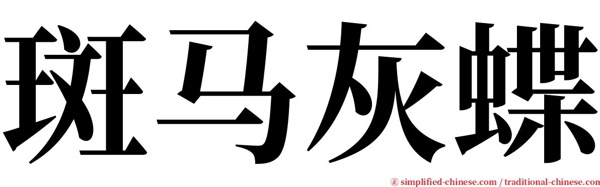 斑马灰蝶 serif font