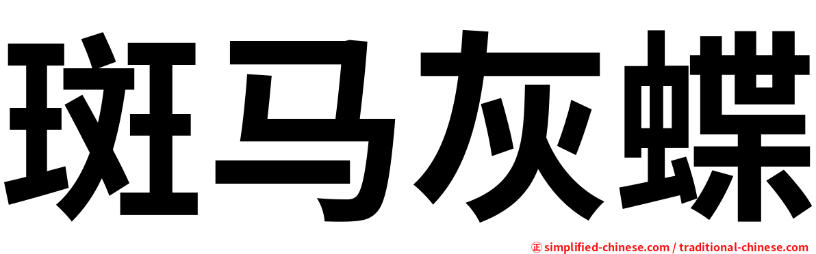 斑马灰蝶