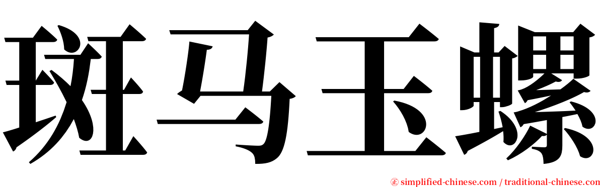 斑马玉螺 serif font