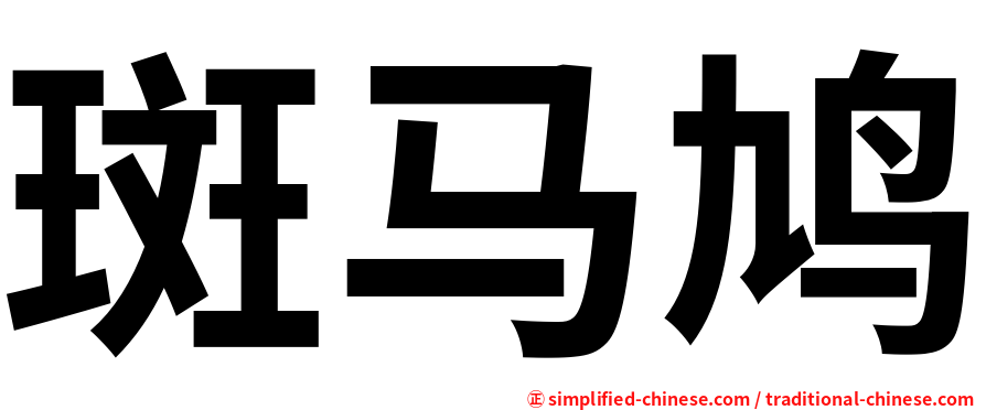 斑马鸠