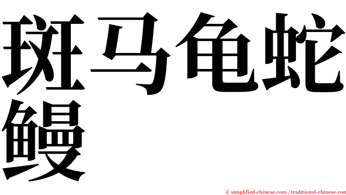 斑马龟蛇鳗 serif font
