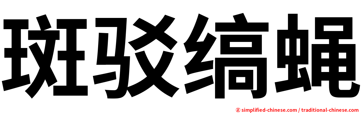 斑驳缟蝇