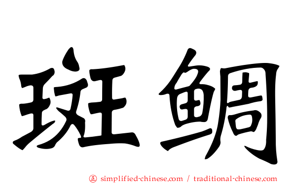 斑鲷