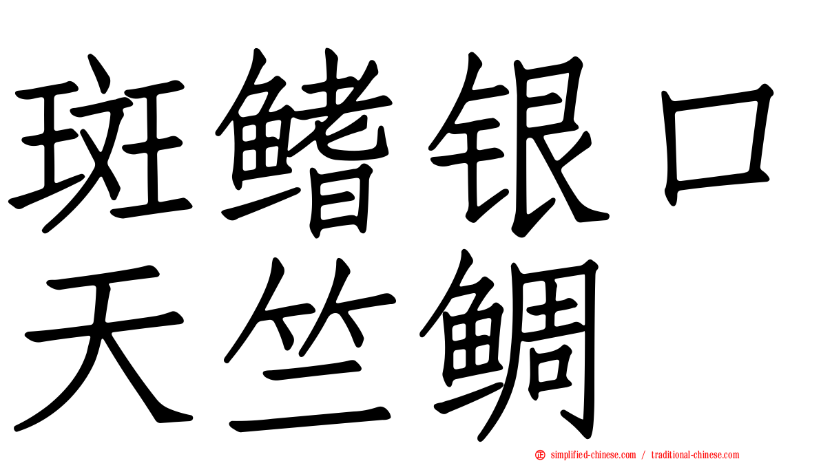 斑鳍银口天竺鲷
