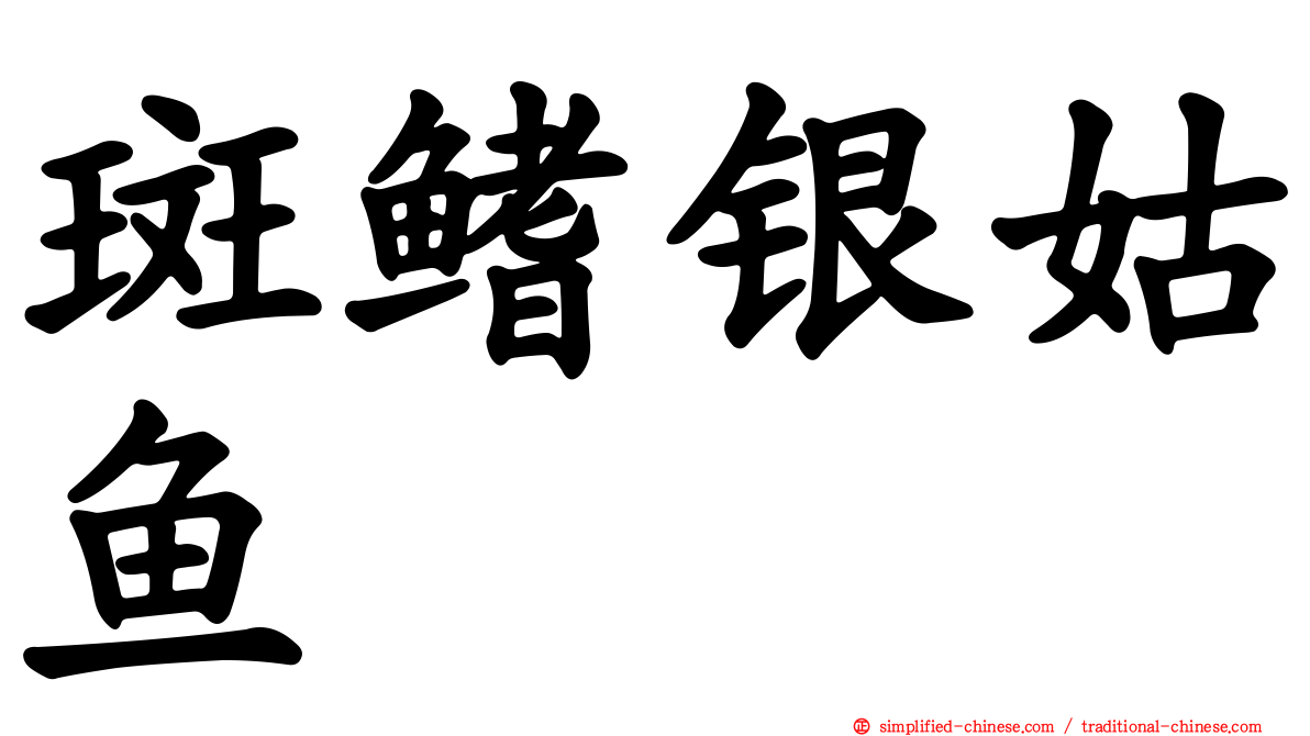 斑鳍银姑鱼