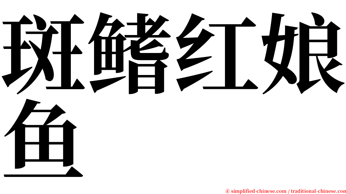 斑鳍红娘鱼 serif font