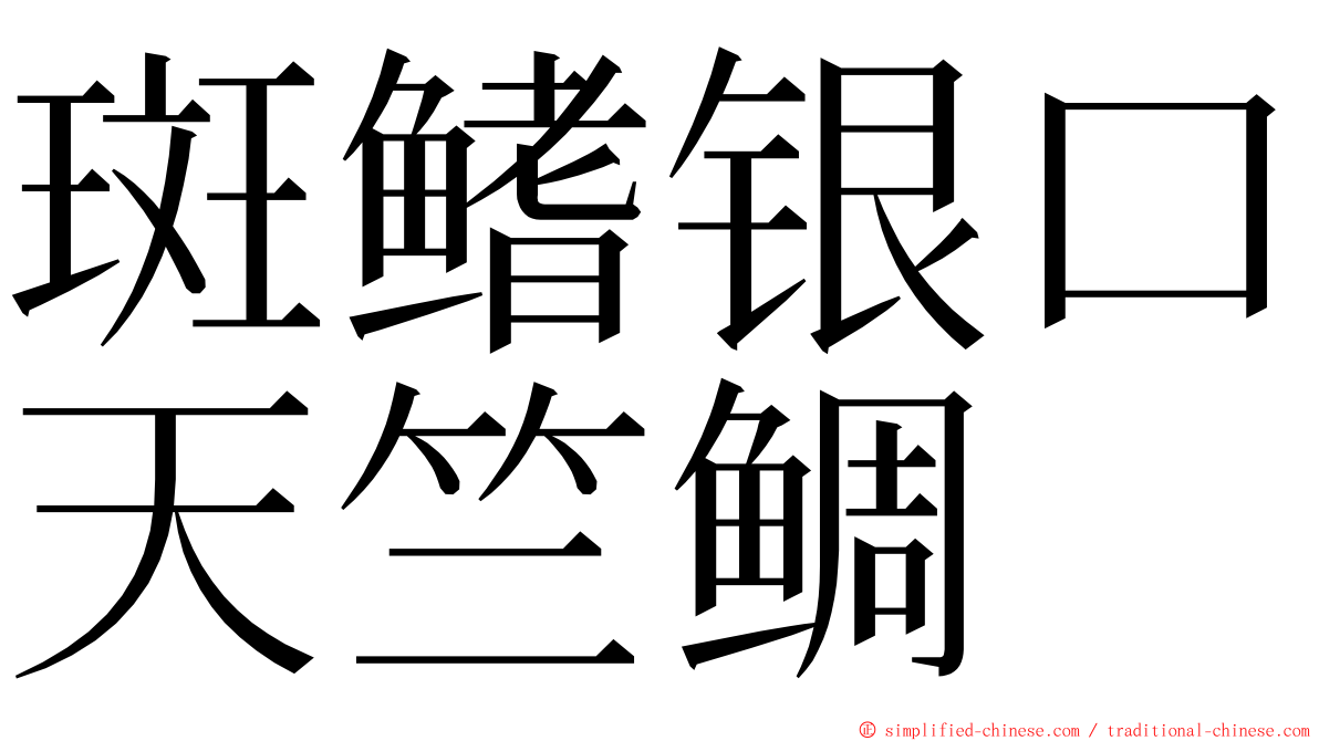 斑鳍银口天竺鲷 ming font