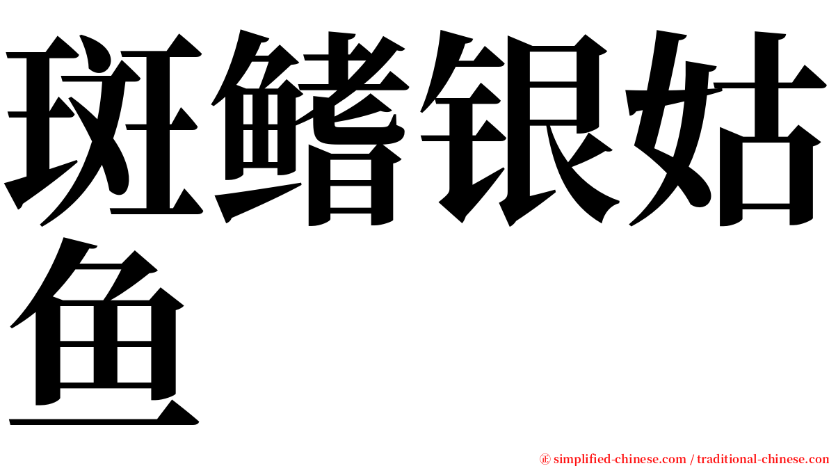 斑鳍银姑鱼 serif font