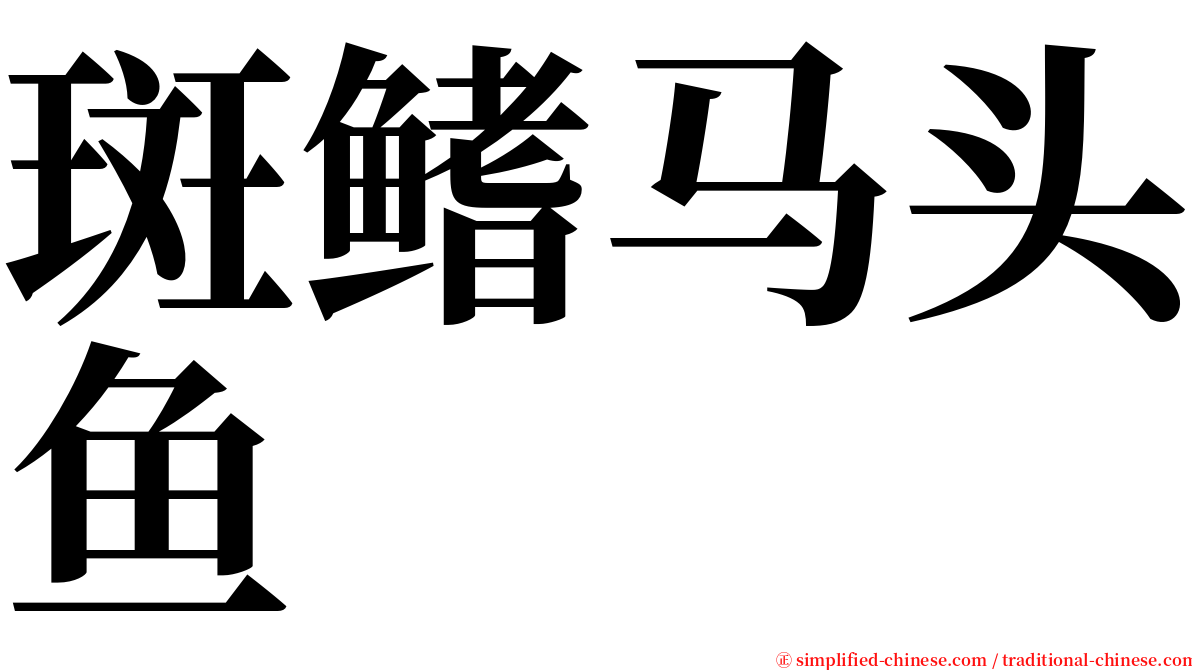 斑鳍马头鱼 serif font