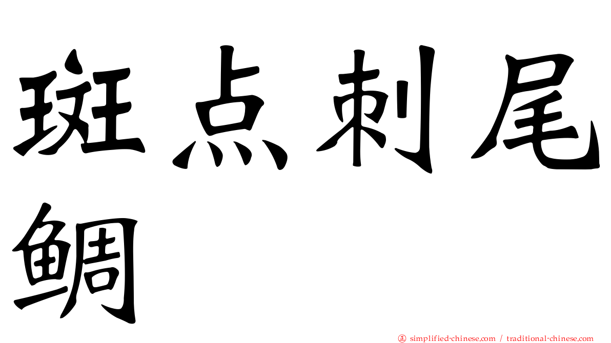 斑点刺尾鲷