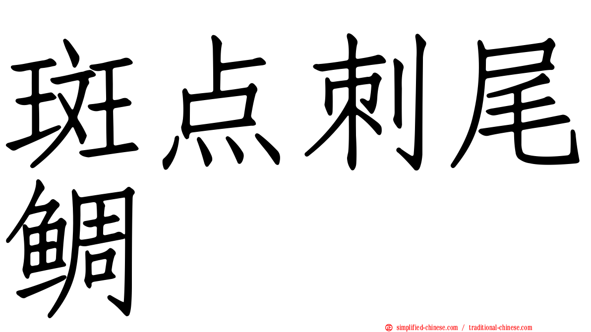 斑点刺尾鲷