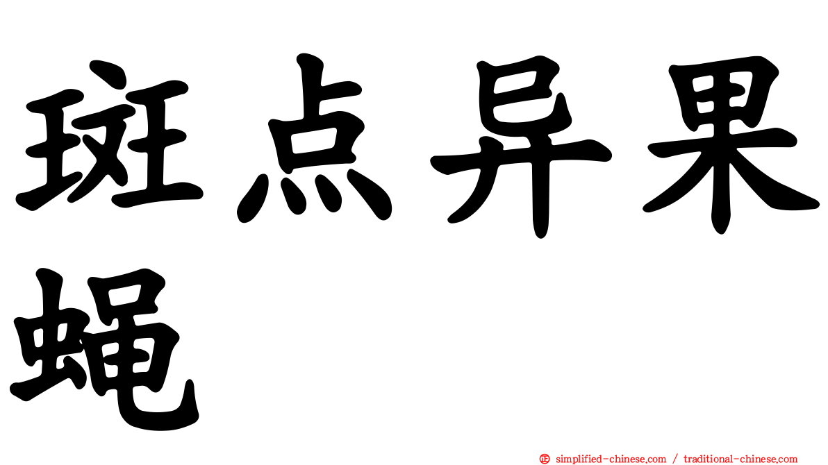 斑点异果蝇
