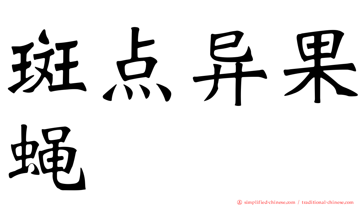 斑点异果蝇