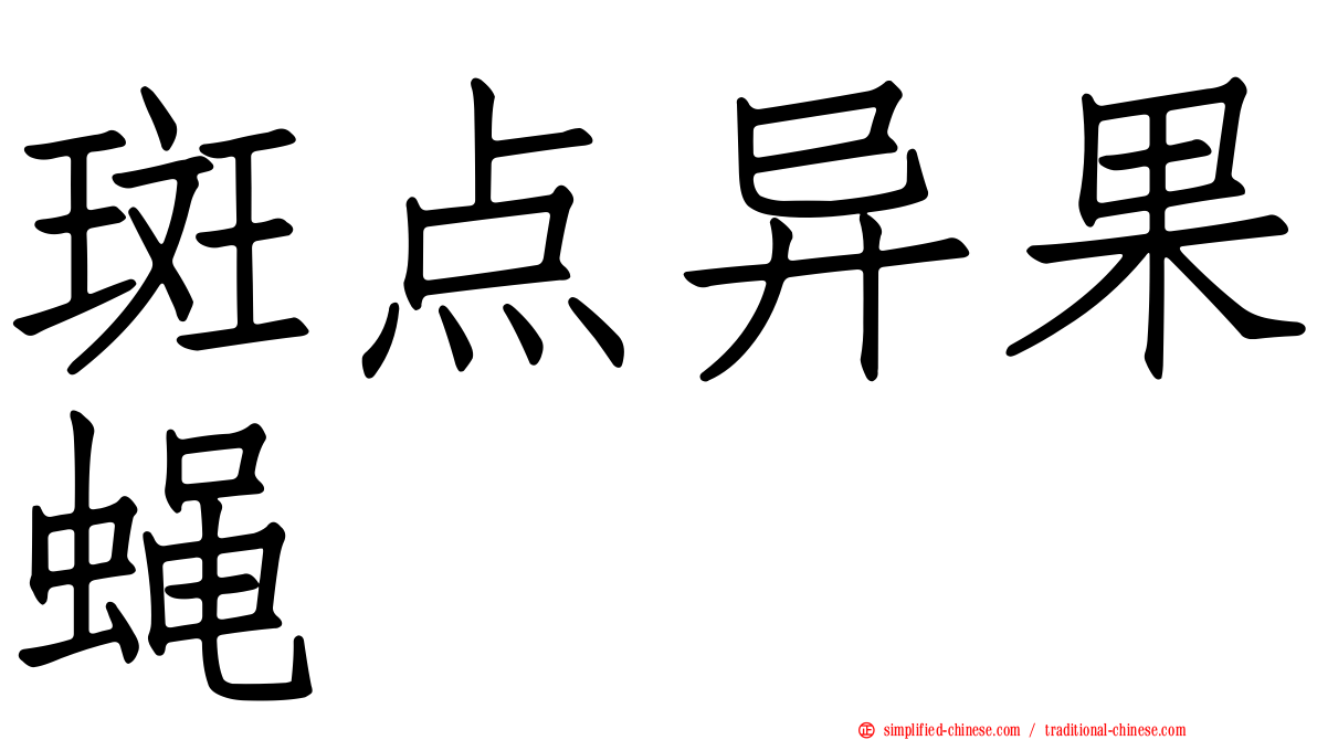 斑点异果蝇