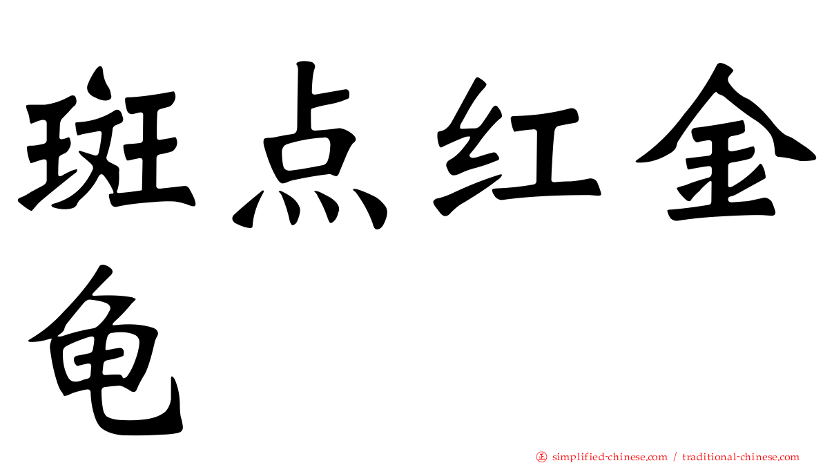 斑点红金龟