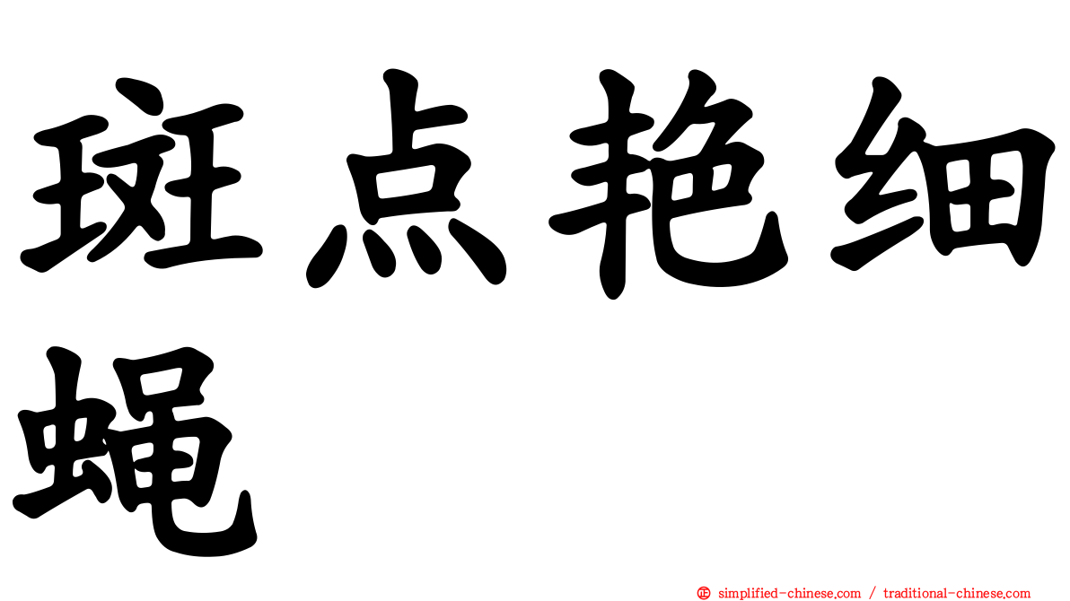 斑点艳细蝇