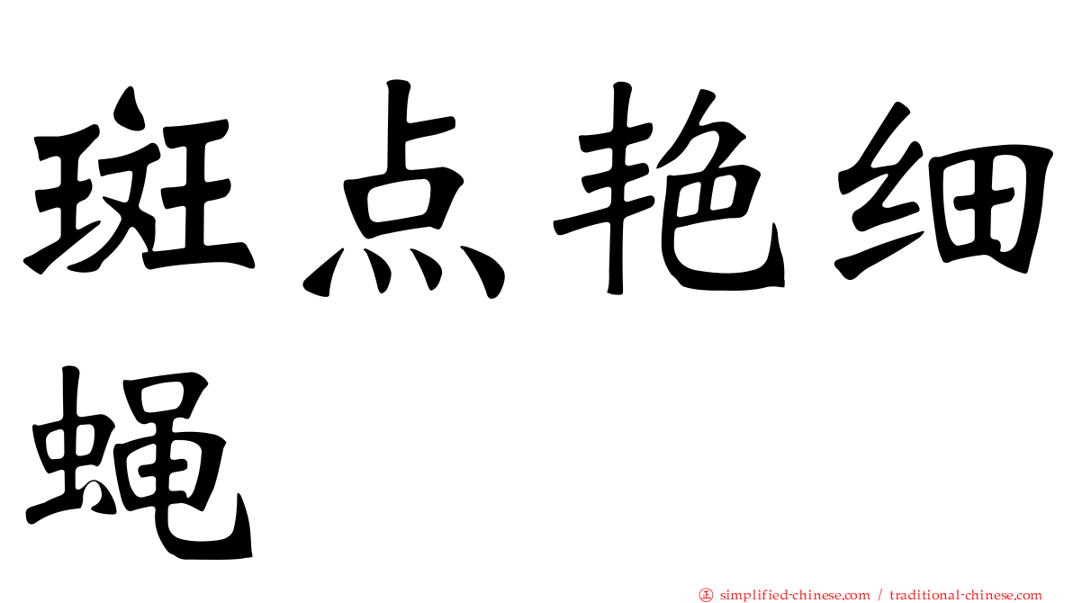 斑点艳细蝇