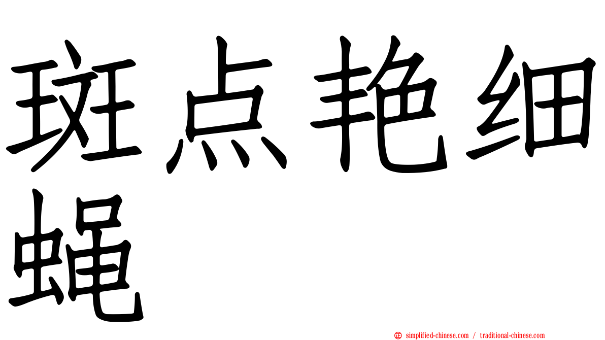 斑点艳细蝇