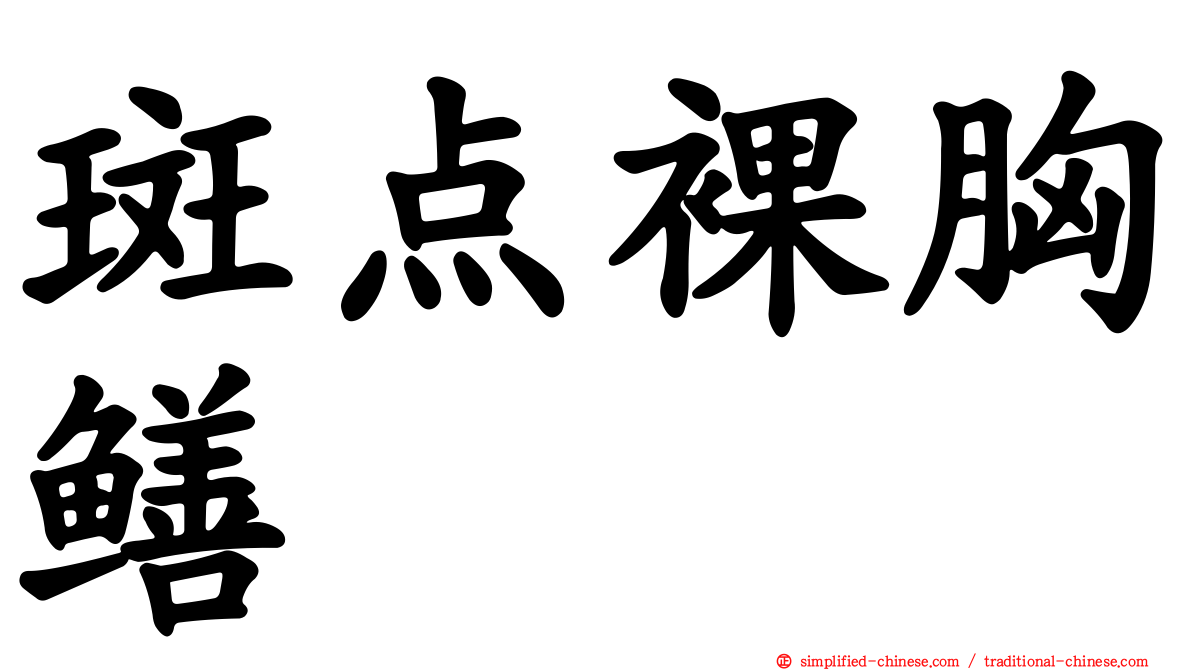 斑点裸胸鳝