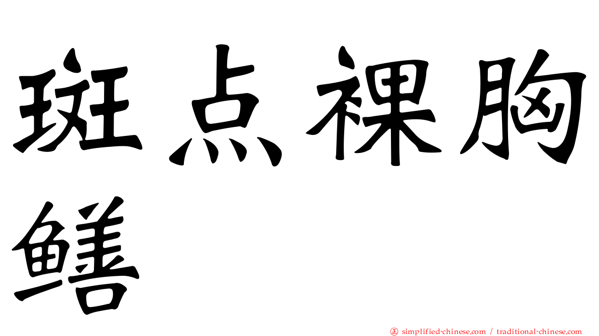 斑点裸胸鳝