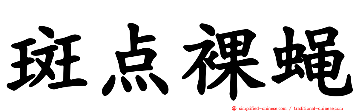 斑点裸蝇