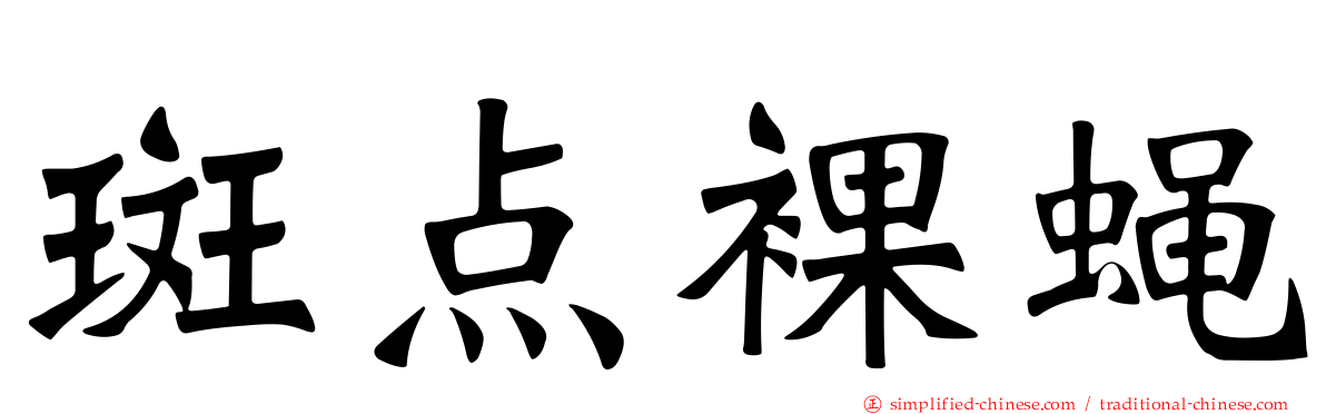 斑点裸蝇