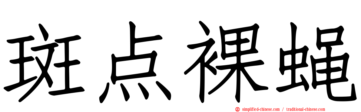 斑点裸蝇