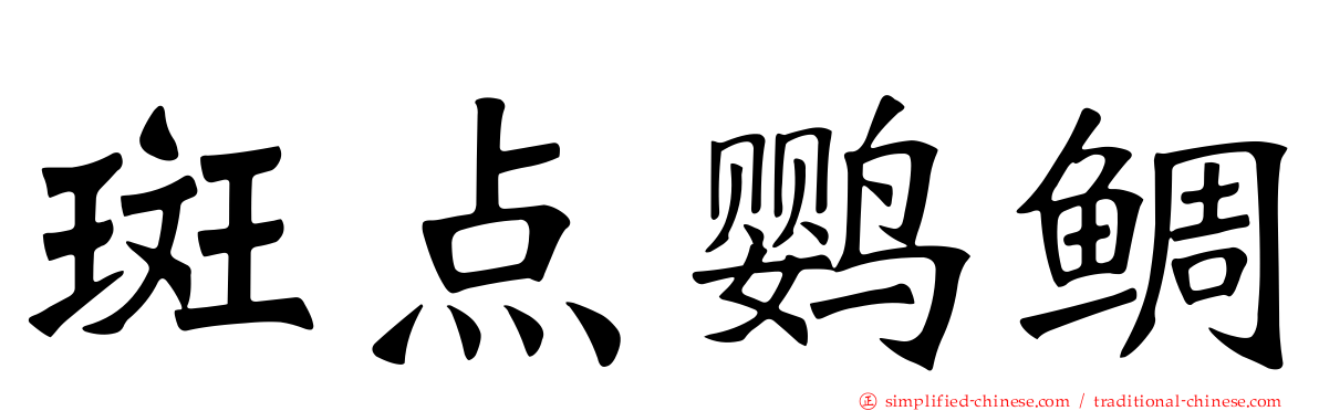 斑点鹦鲷