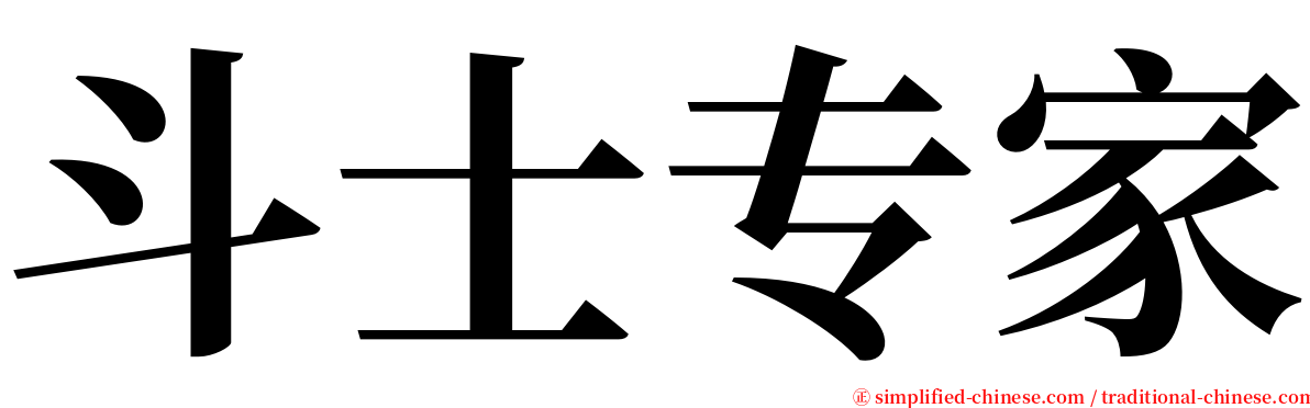 斗士专家 serif font