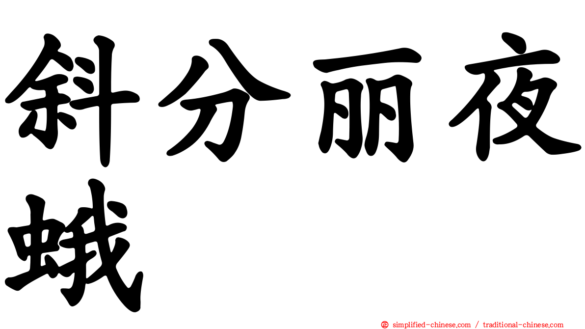 斜分丽夜蛾