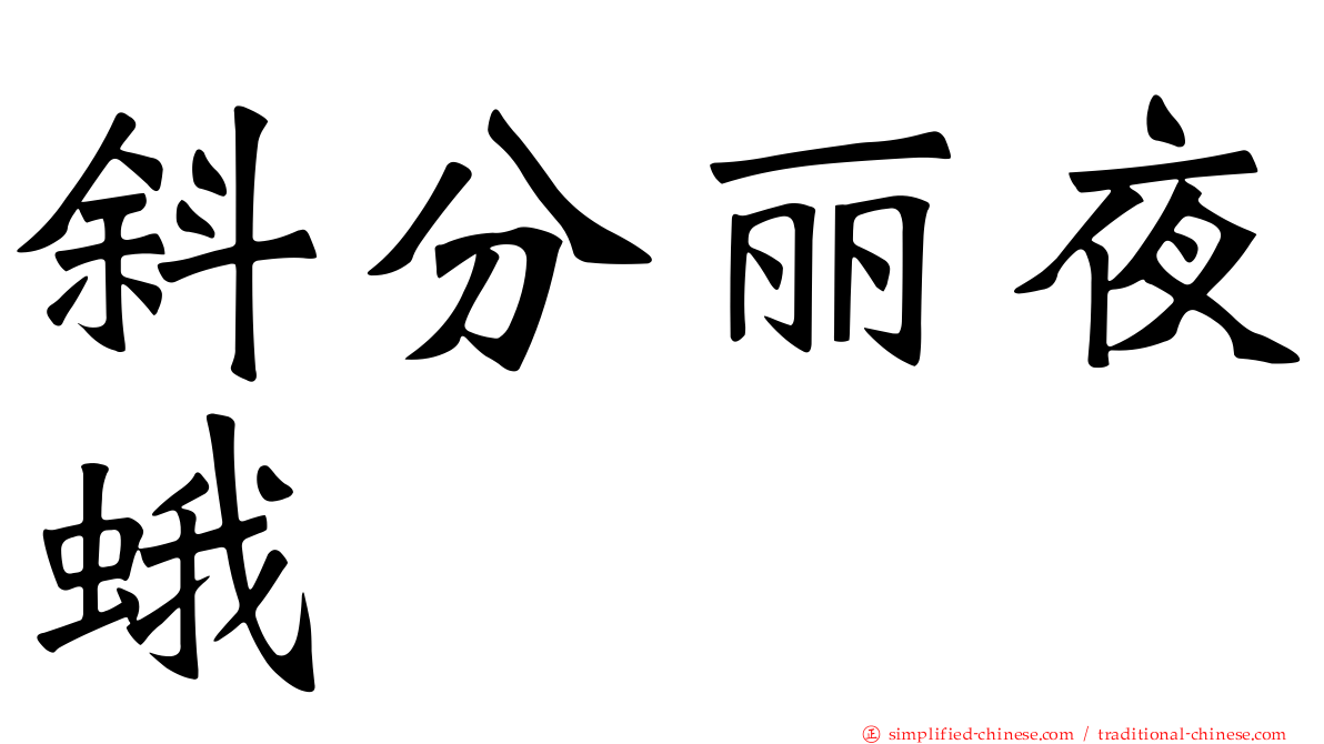 斜分丽夜蛾