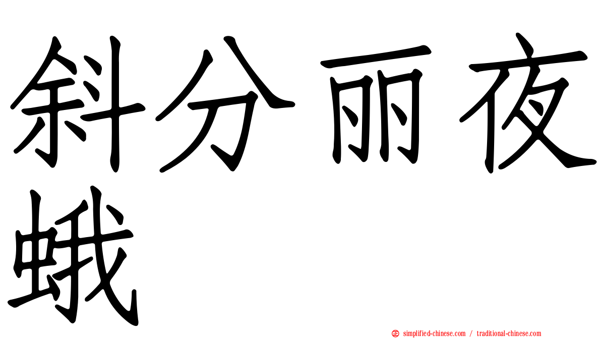 斜分丽夜蛾