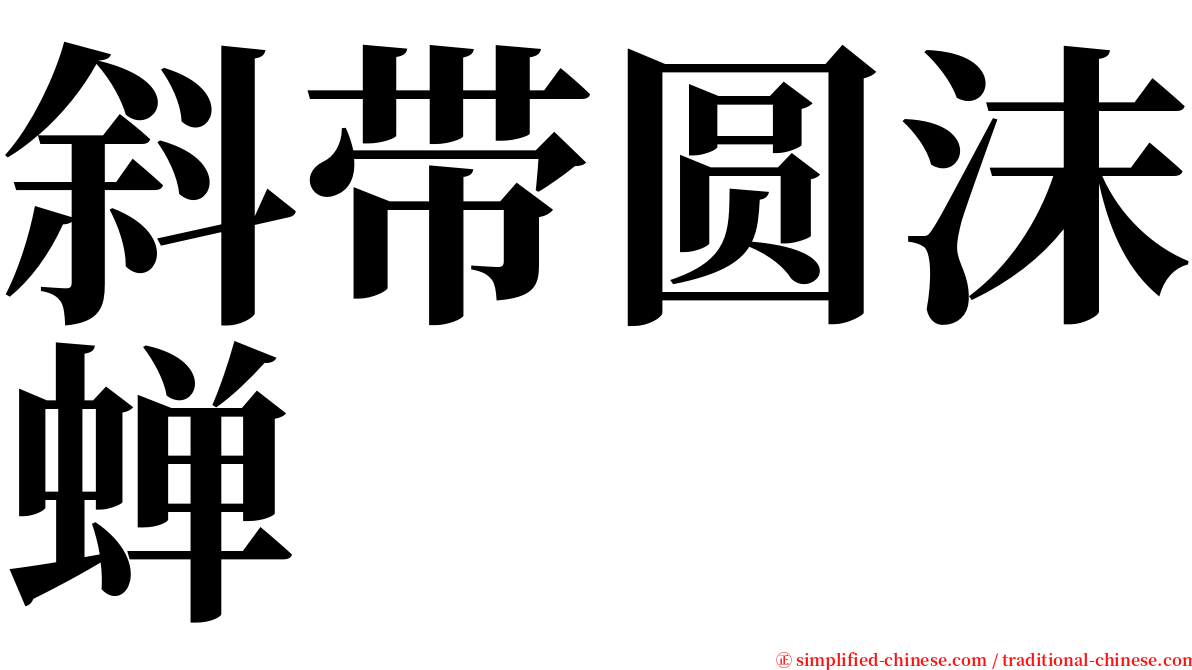 斜带圆沫蝉 serif font