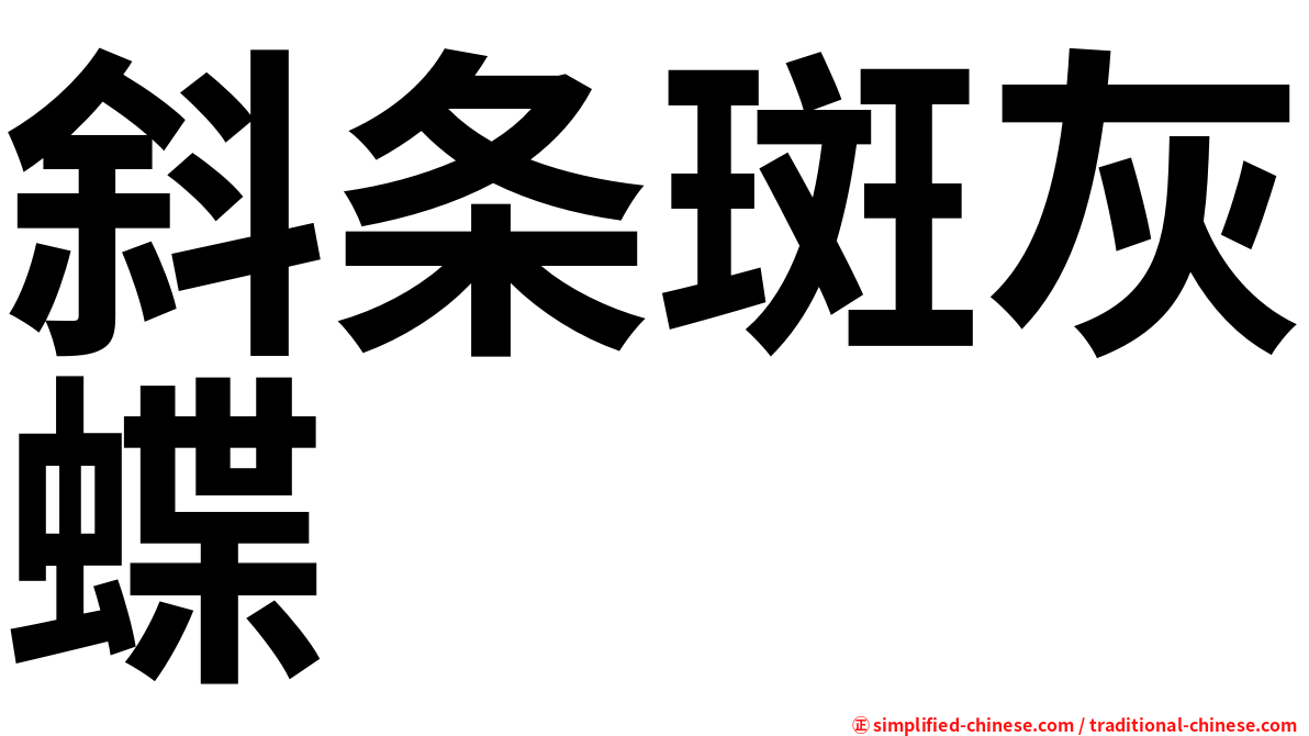 斜条斑灰蝶