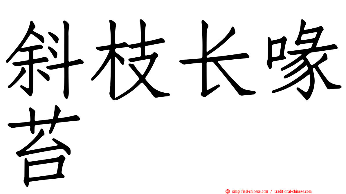 斜枝长喙苔