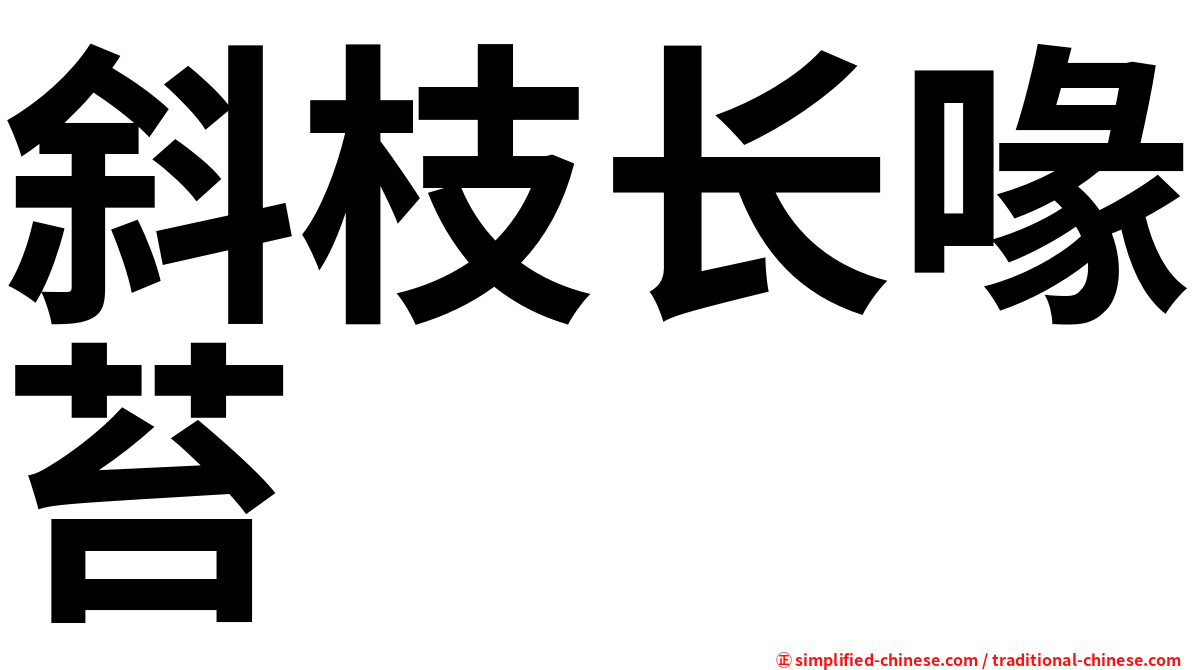 斜枝长喙苔