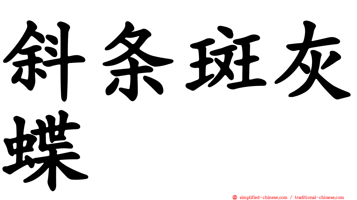 斜条斑灰蝶