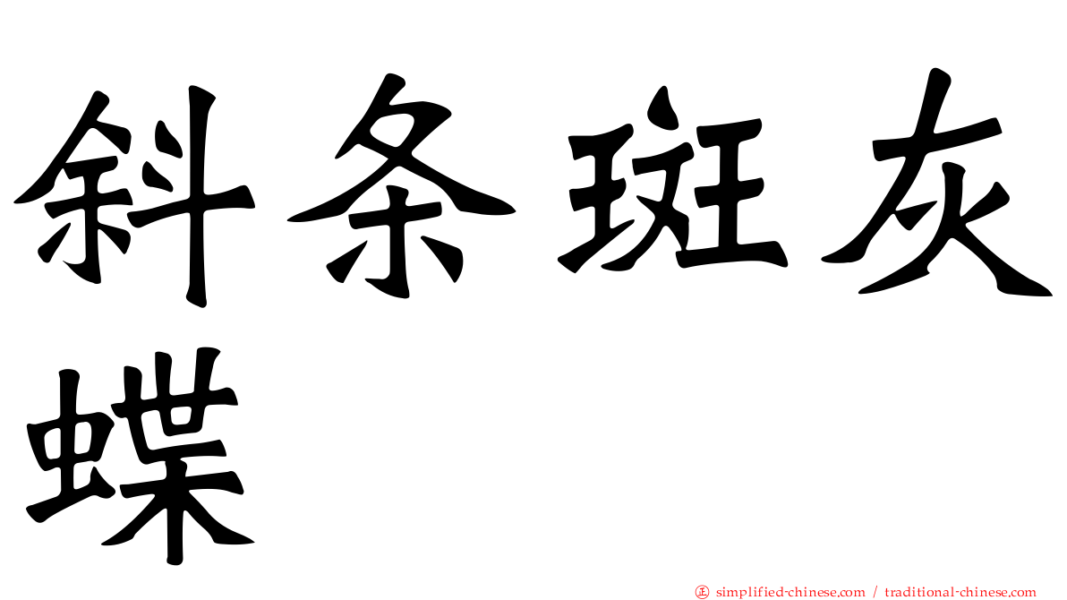 斜条斑灰蝶